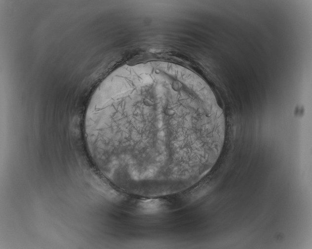 X0000110730269200907101435