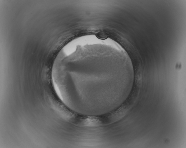 X0000110730270200907101435