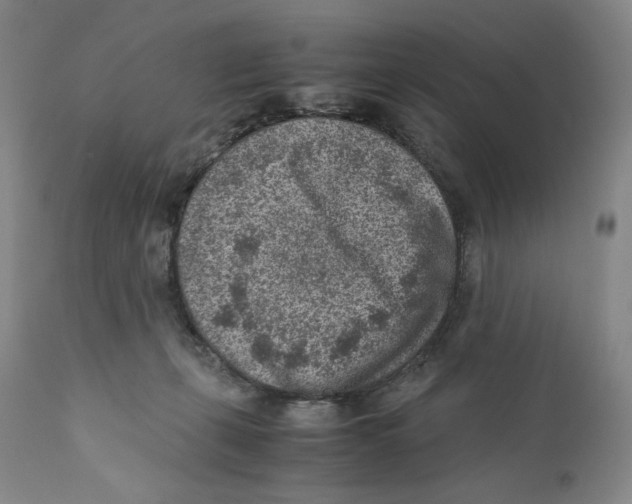 X0000110730271200907101436