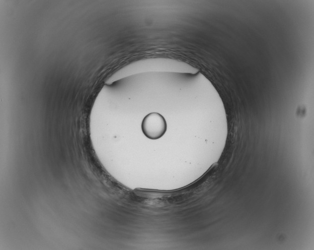 X0000110730272200907101436
