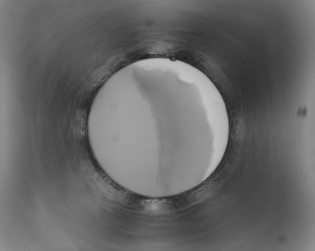 X0000110730273200907101436