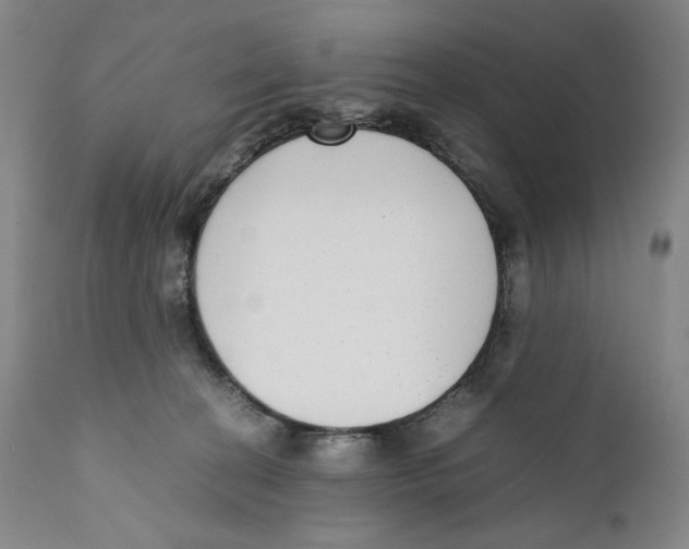 X0000110730274200907101436