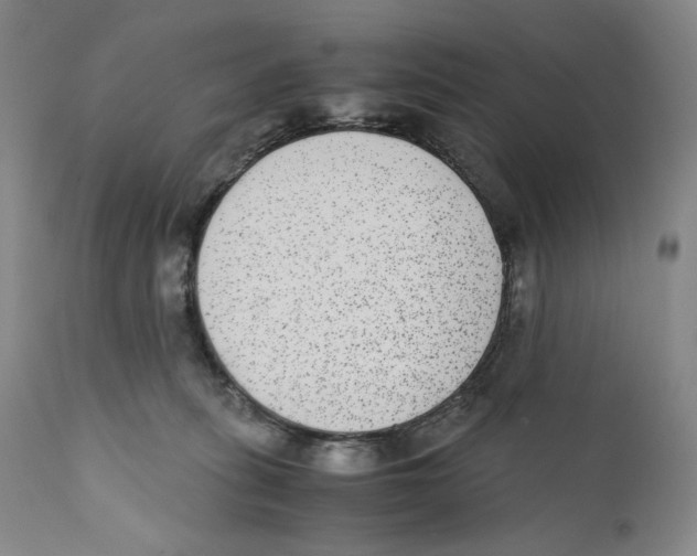 X0000110730275200907101436