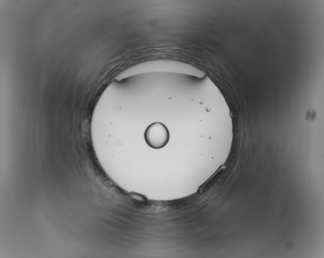 X0000110730276200907101436