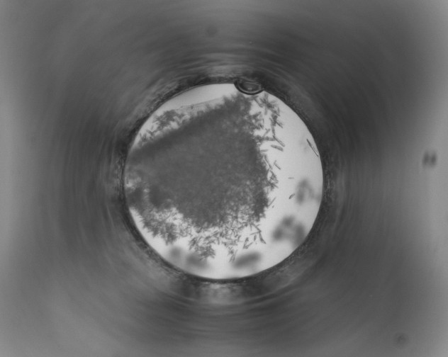 X0000110730277200907101436