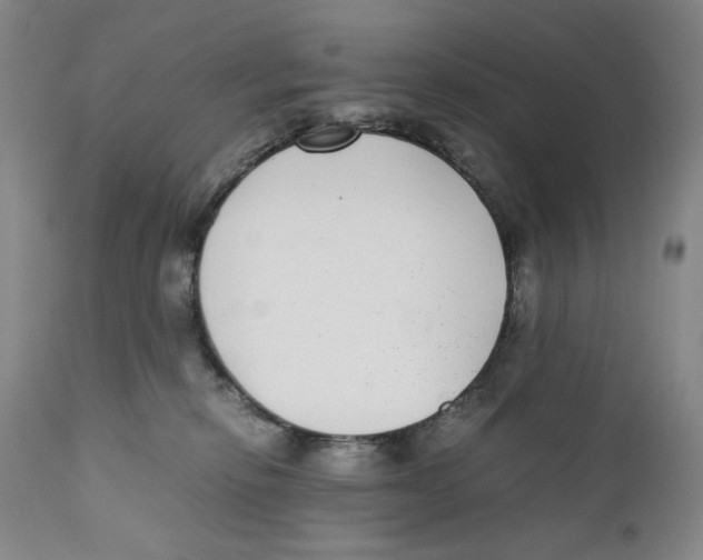 X0000110730278200907101436