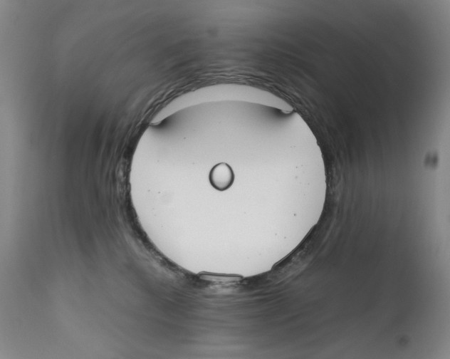 X0000110730280200907101436
