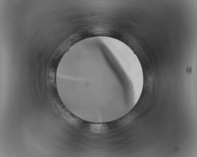 X0000110730281200907101436