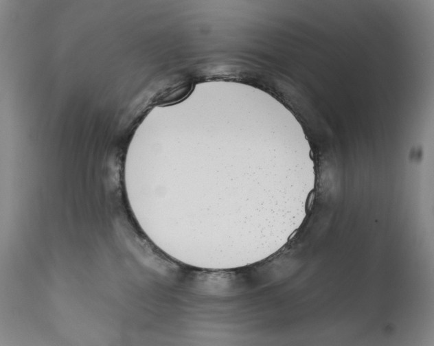 X0000110730282200907101436