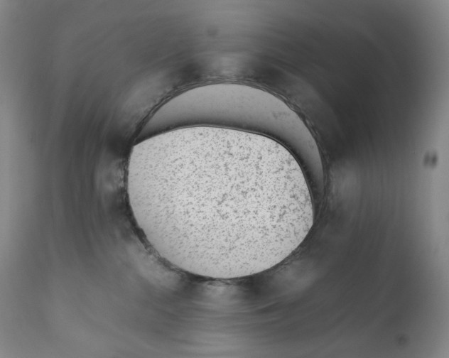 X0000110730284200907101436