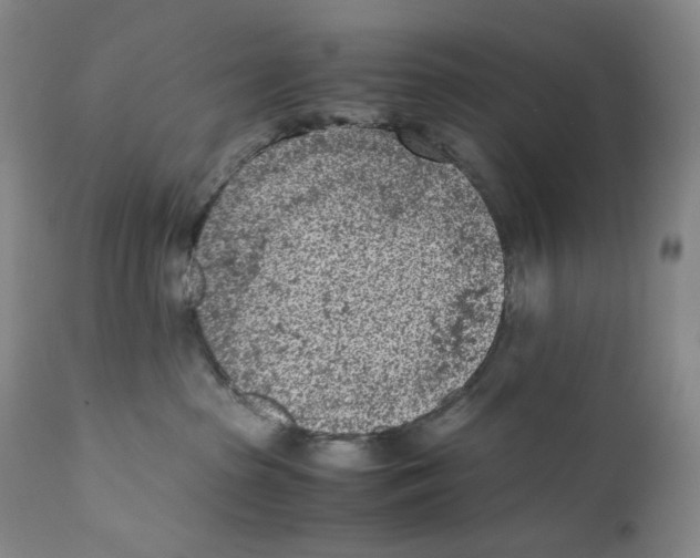 X0000110730285200907101436