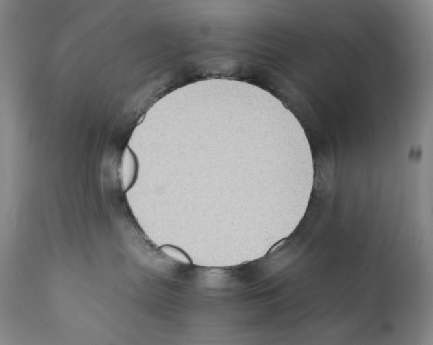 X0000110730287200907101436