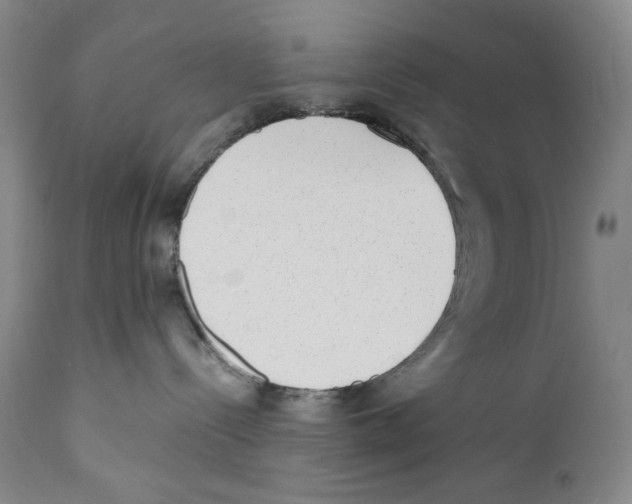 X0000110730288200907101436