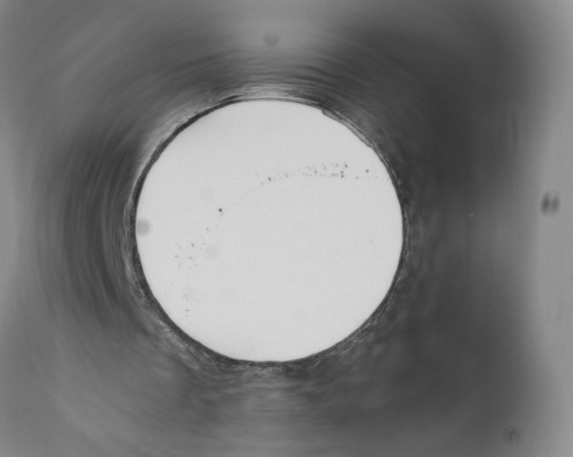 X0000110730289200907101435
