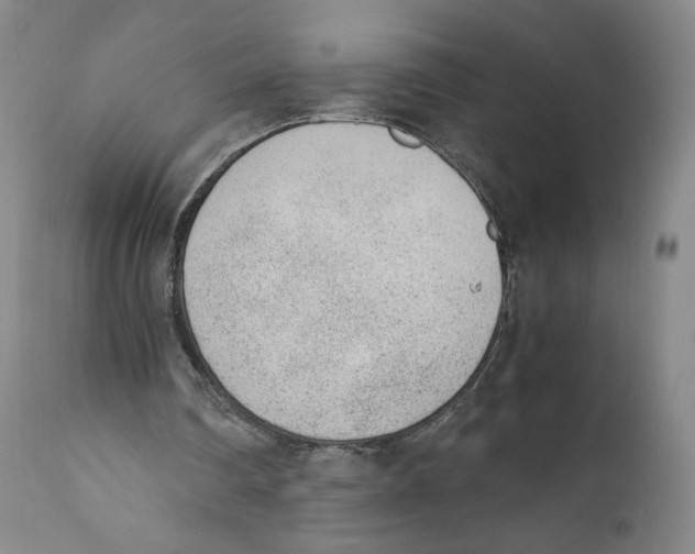 X0000110730290200907101435