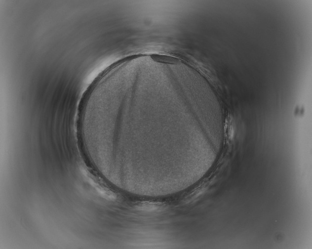 X0000110730292200907101435