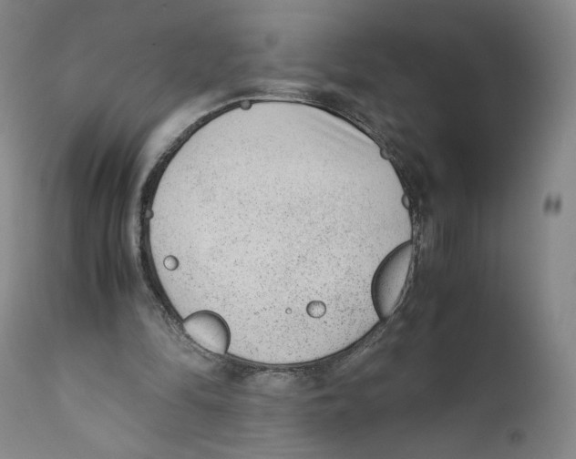 X0000110730294200907101435