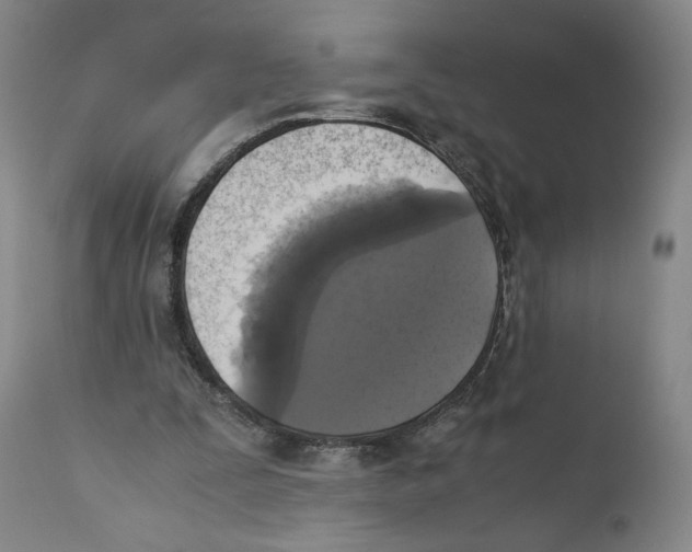 X0000110730295200907101435