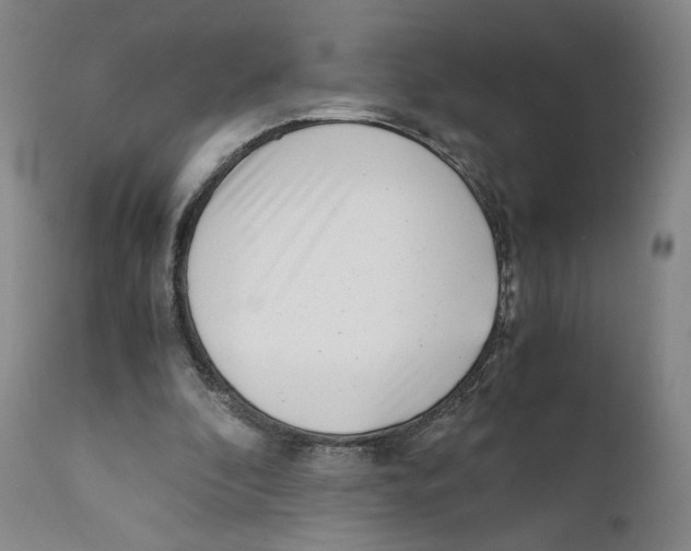 X0000110730296200907101435
