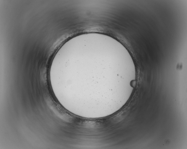 X0000110730298200907101435