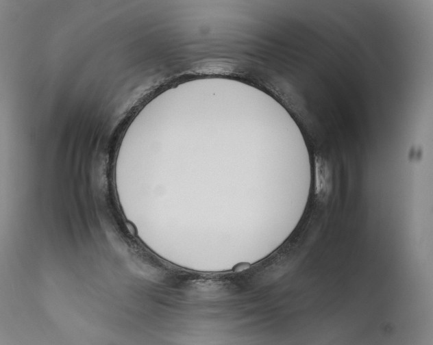 X0000110730300200907101435