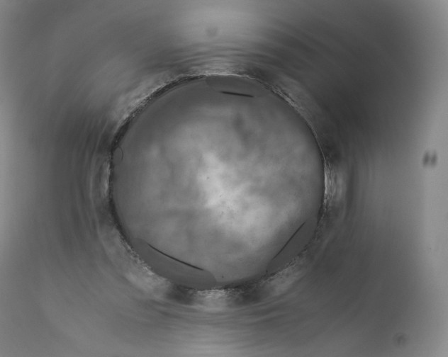 X0000110730301200907101435