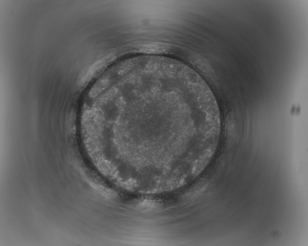 X0000110730303200907101435