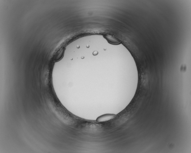 X0000110730304200907101435