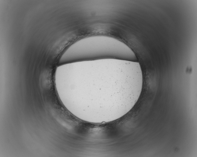 X0000110730312200907101435