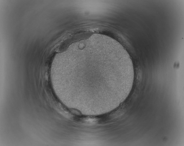X0000110730313200907101435