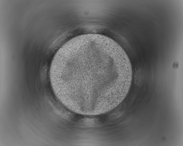 X0000110730314200907101435