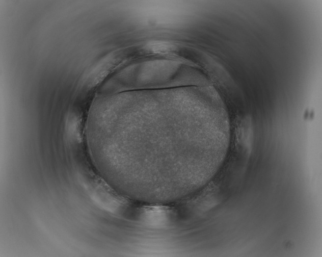 X0000110730316200907101435