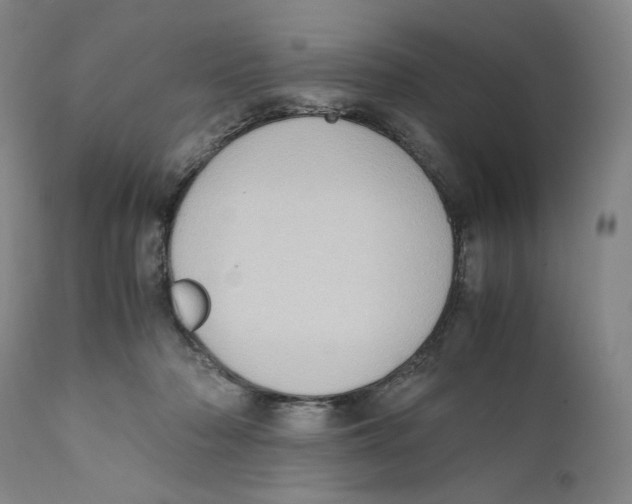 X0000110730318200907101435