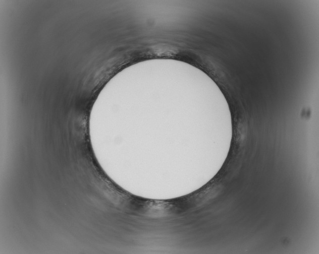 X0000110730321200907101435
