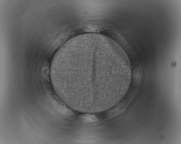 X0000110730322200907101435