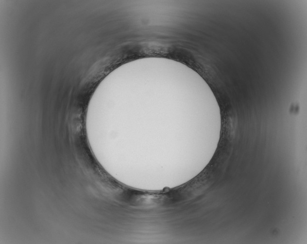 X0000110730323200907101435