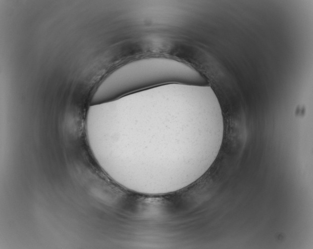 X0000110730324200907101435