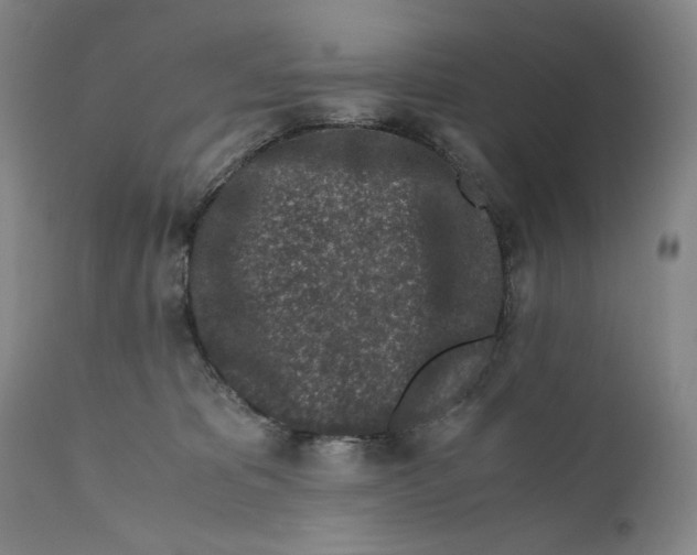 X0000110730325200907101435