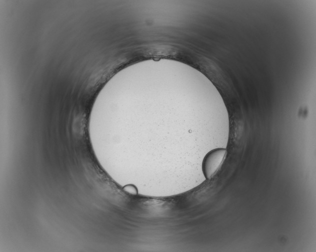 X0000110730326200907101435