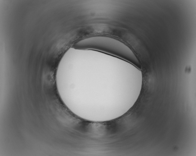 X0000110730327200907101435