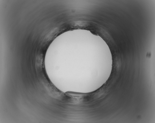 X0000110730328200907101435