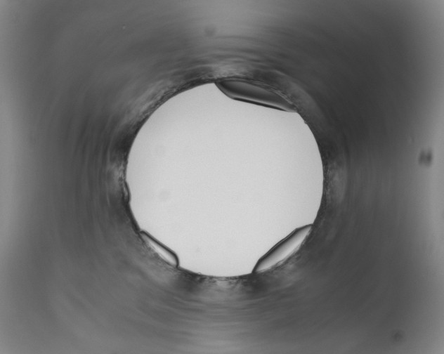 X0000110730329200907101435