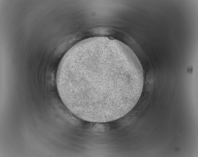 X0000110730330200907101435