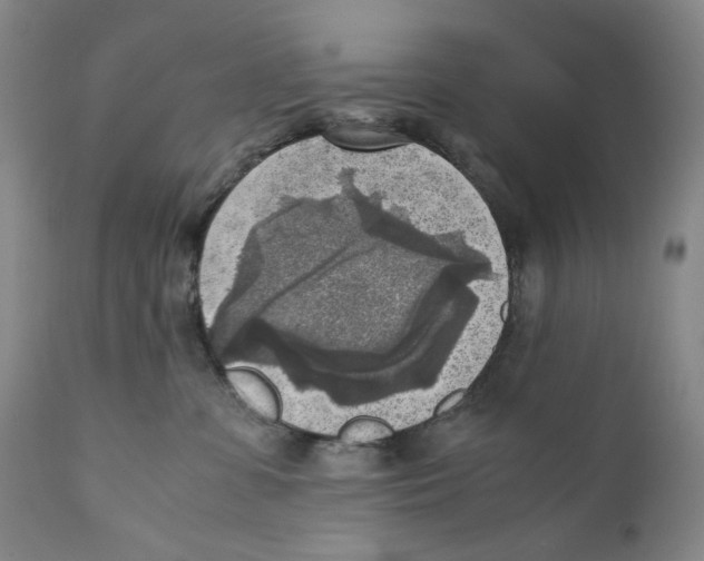 X0000110730331200907101434