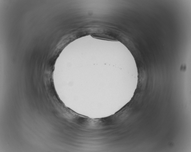 X0000110730333200907101434