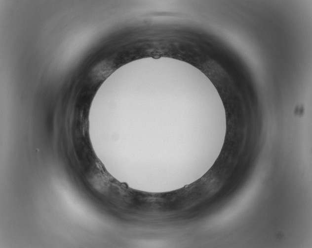 X0000110730334200907101434