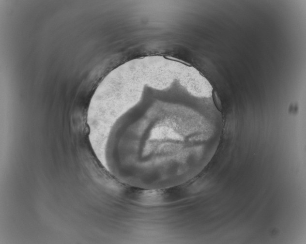 X0000110730335200907101434