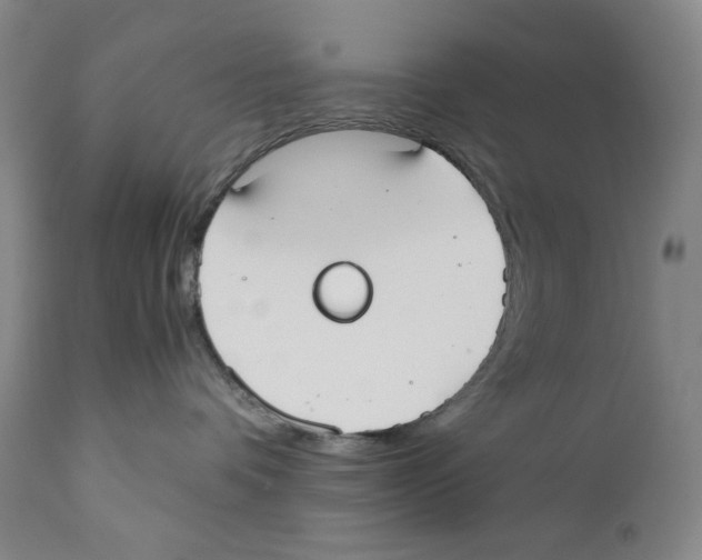X0000110730336200907101434