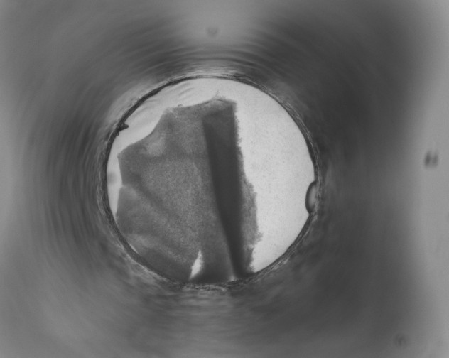X0000110730337200907101434