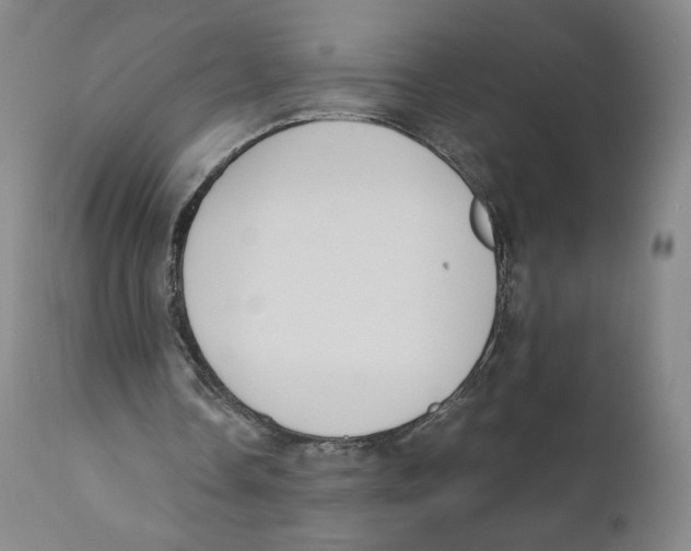 X0000110730338200907101434